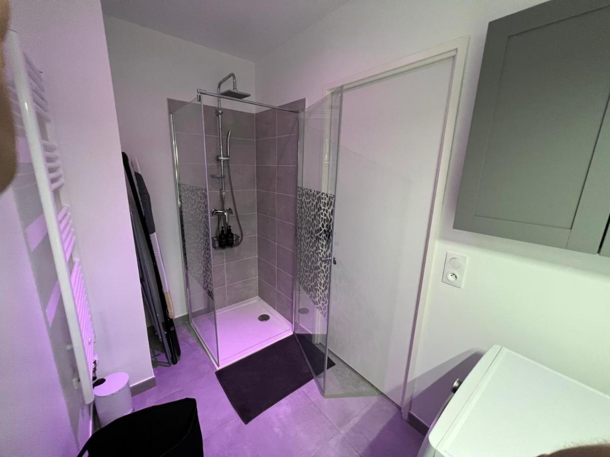 Appartement Avec Son Jardin D'Hiver Poissy Zewnętrze zdjęcie